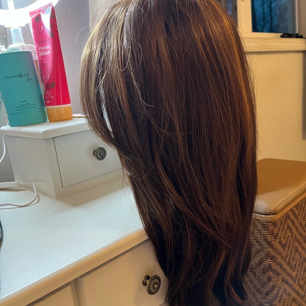 Brown and highlights longer haired wig.